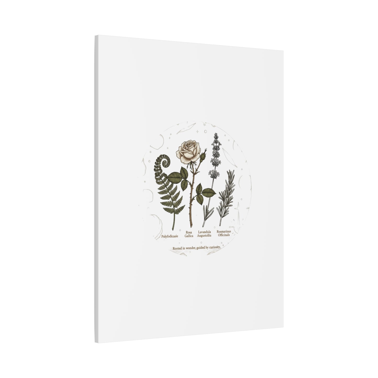 Matte Canvas, Stretched, 1.25"