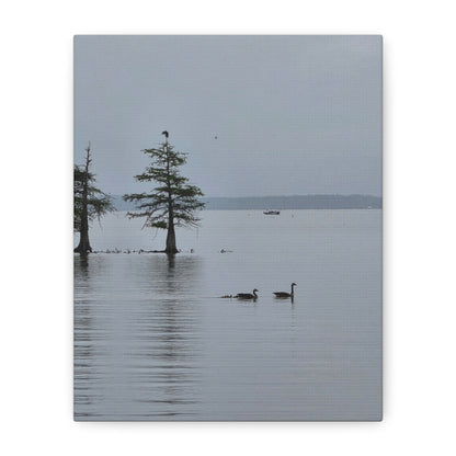 Tranquil Lake Canvas Print — Geese on Misty Water