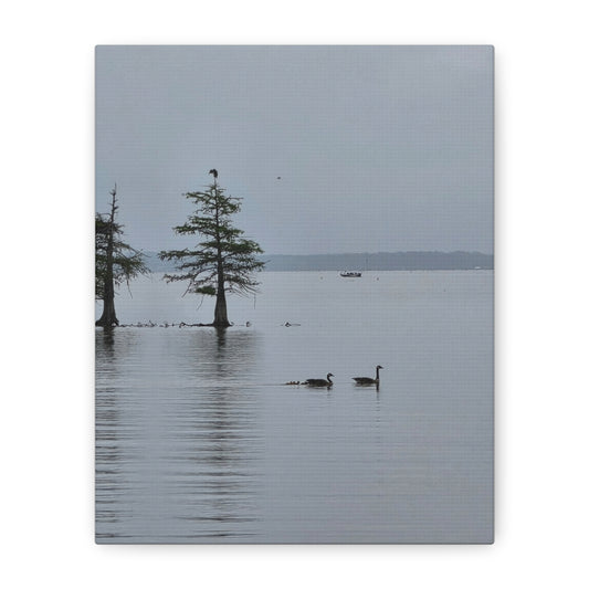 Tranquil Lake Canvas Print — Geese on Misty Water