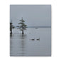 Tranquil Lake Canvas Print — Geese on Misty Water