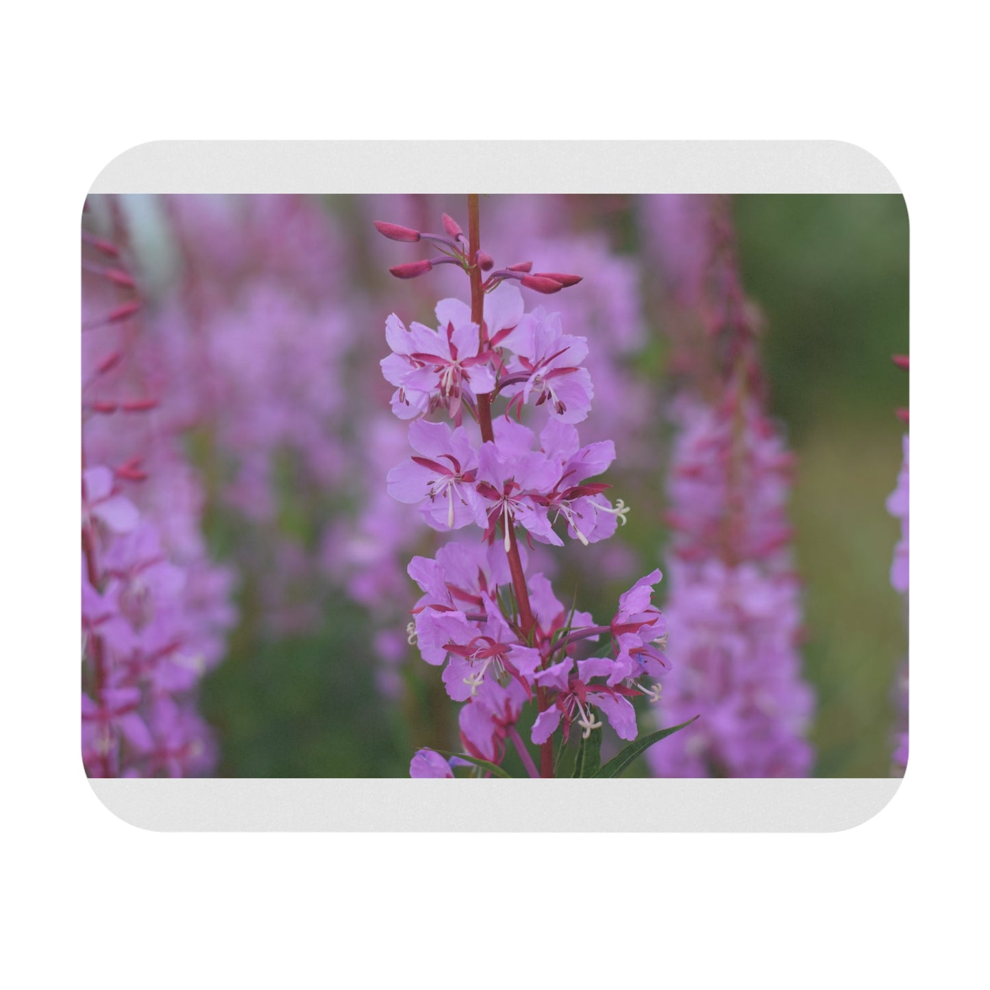 Pink Wildflower Mouse Pad — Floral Desk Mat for Home & Office