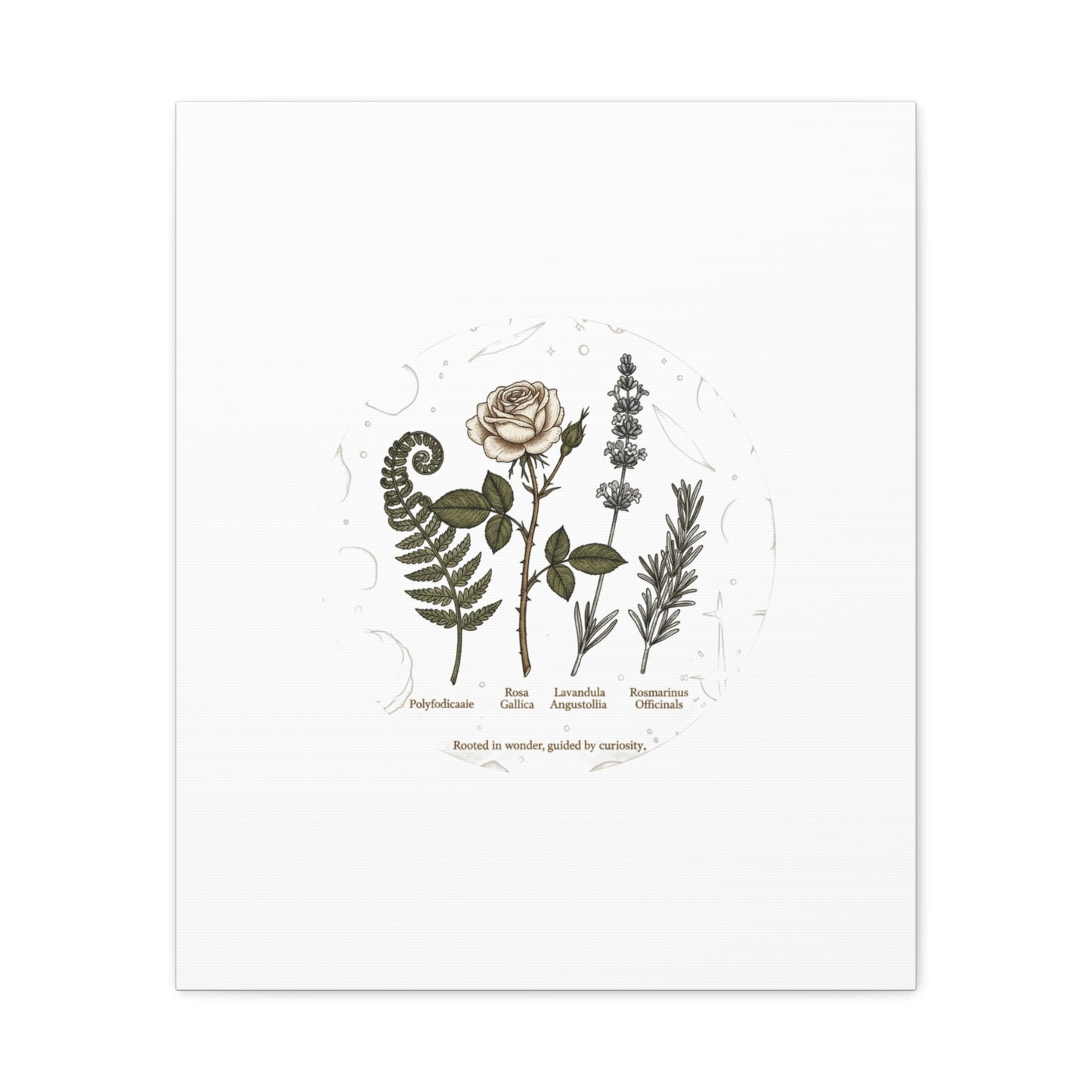 Matte Canvas, Stretched, 1.25"