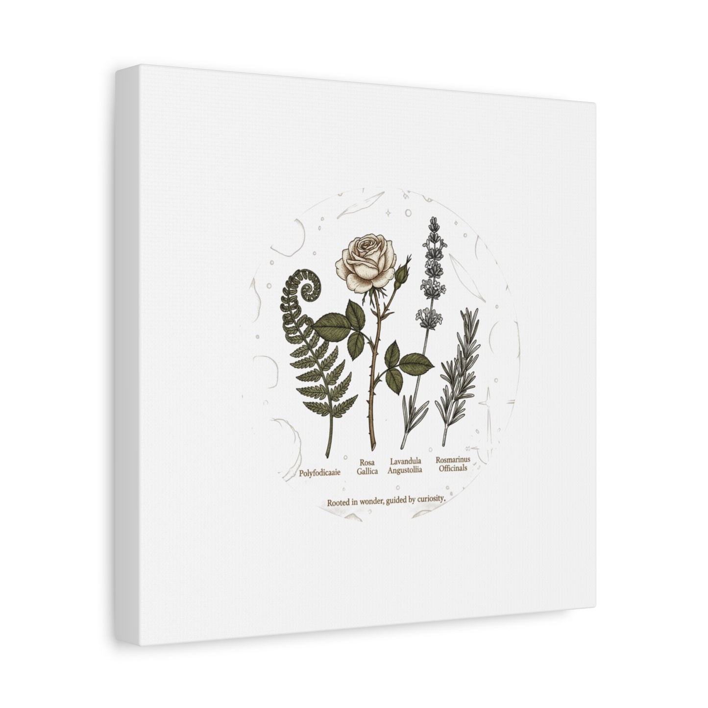 Matte Canvas, Stretched, 1.25"