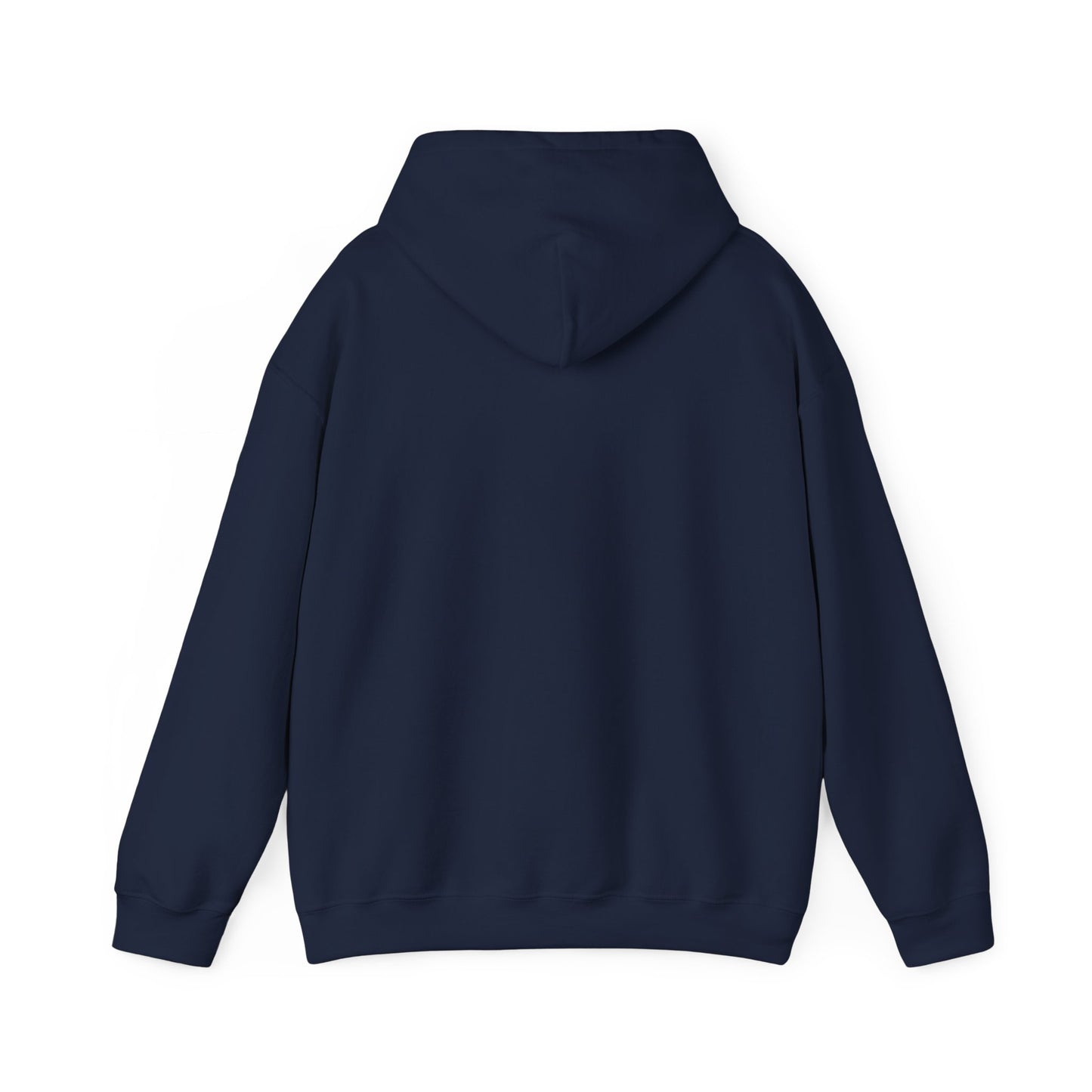 Rejoice in the Lord Hoodie - Dark Colors – Christian Faith Pullover