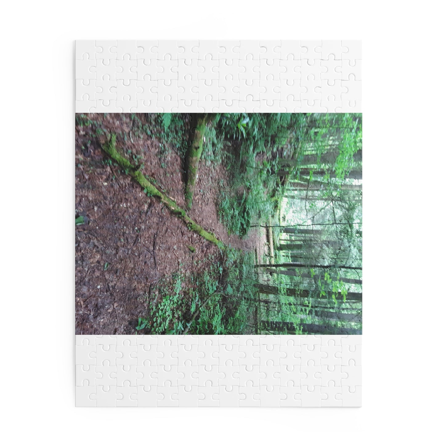 Forest Trail Puzzle - Scenic Woodland Path 120/252/500-Piece Jigsaw