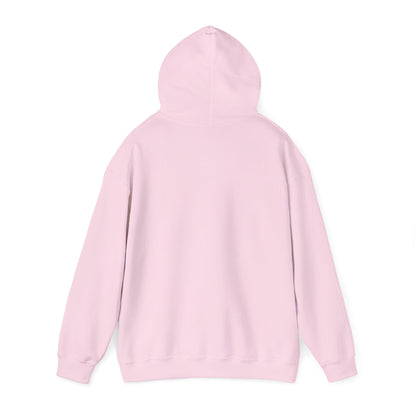 Walk With Jesus Satan Light Colors Crusher Hoodie — Christian Faith Graphic Hoodie