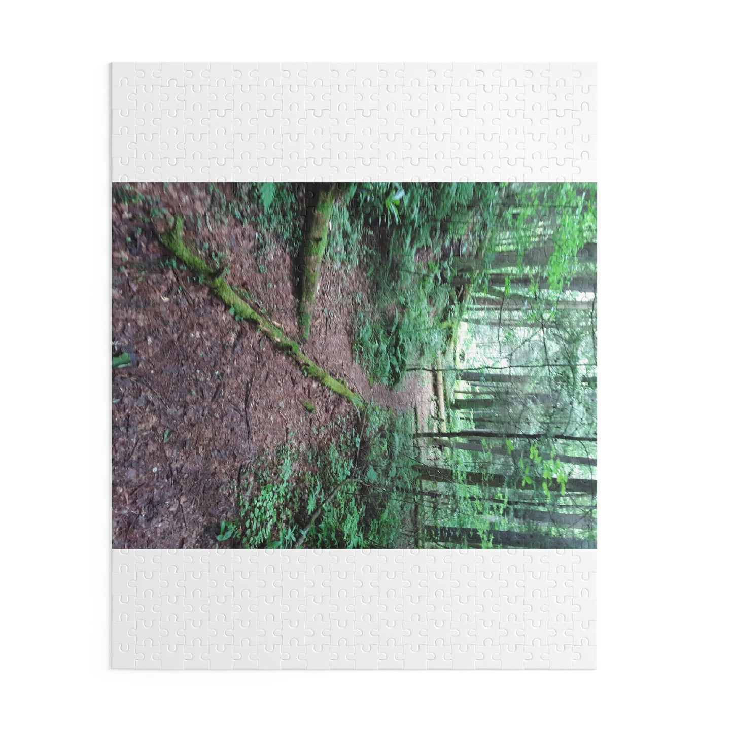 Forest Trail Puzzle - Scenic Woodland Path 120/252/500-Piece Jigsaw