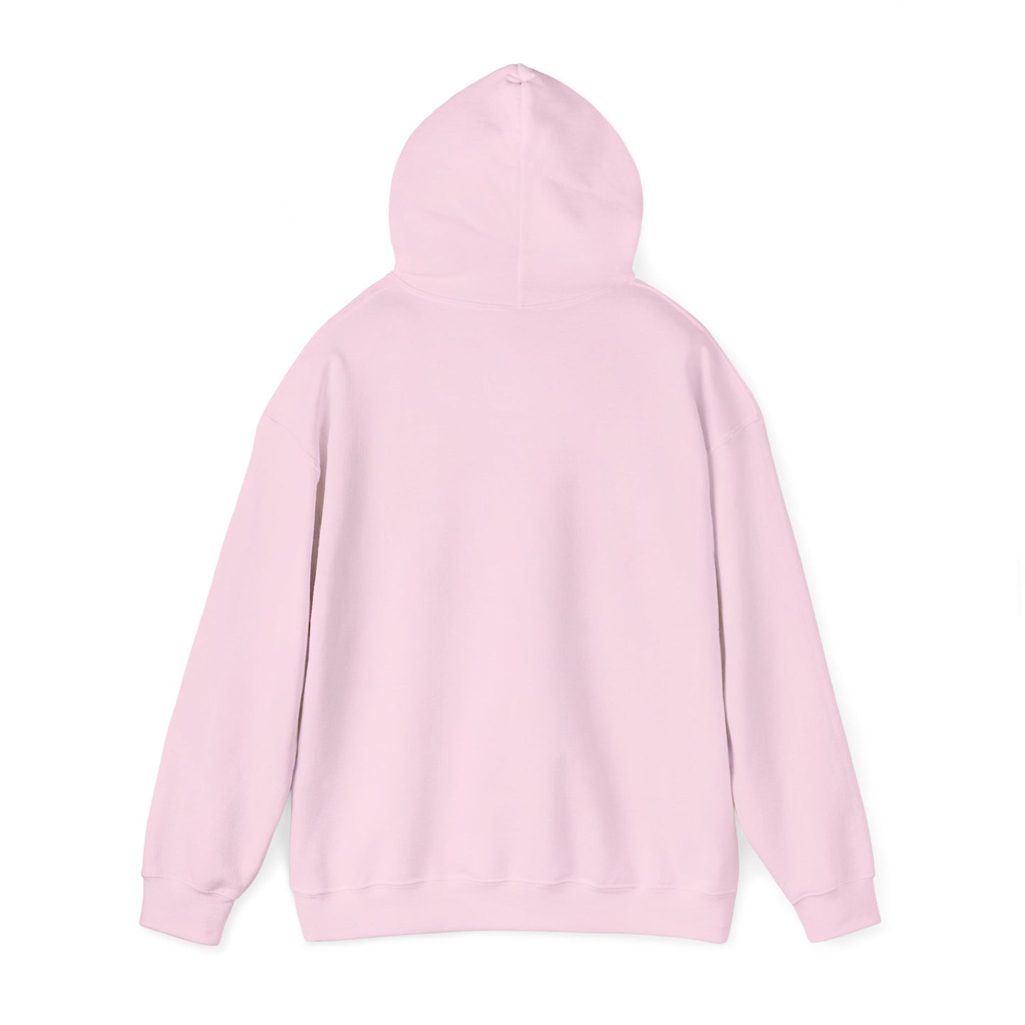Rejoice in the Lord Hoodie - Light Colors – Christian Faith Pullover