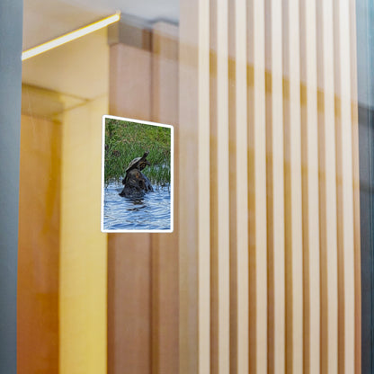 Turtle Kiss-Cut Vinyl Decal — Pond Turtle Photo Sticker