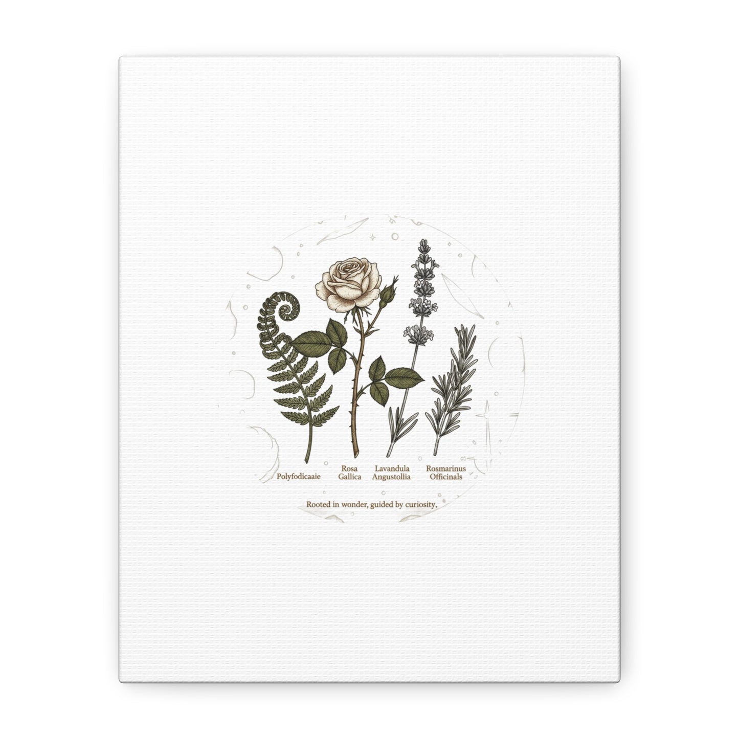 Matte Canvas, Stretched, 1.25"