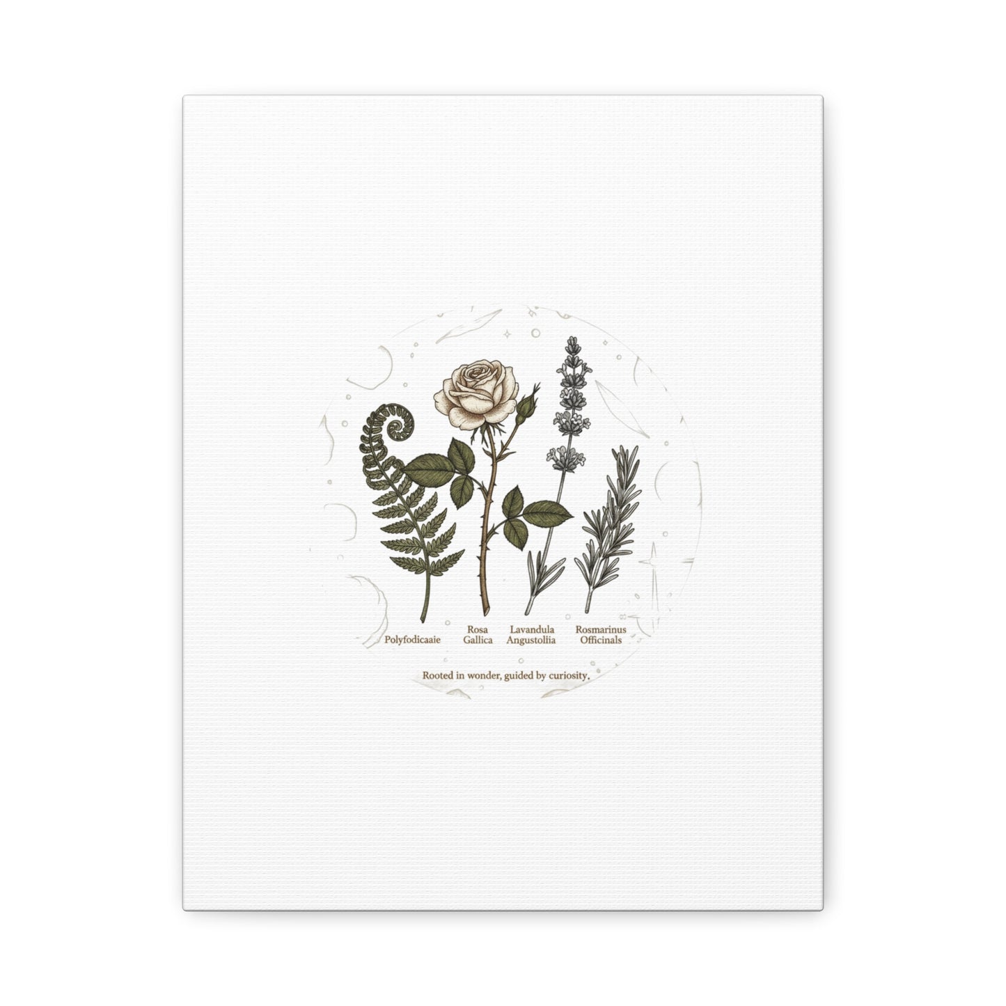 Matte Canvas, Stretched, 1.25"