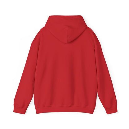 Rejoice in the Lord Hoodie - Dark Colors – Christian Faith Pullover