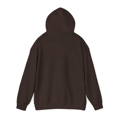 Rejoice in the Lord Hoodie - Dark Colors – Christian Faith Pullover