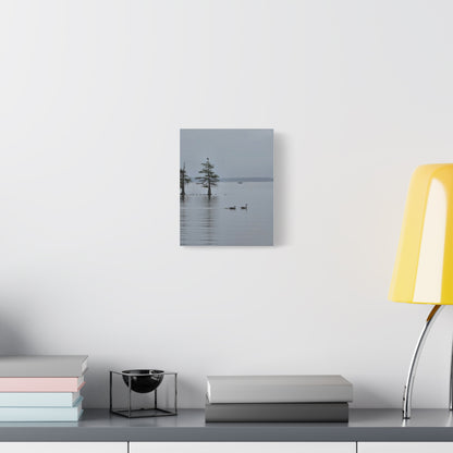 Tranquil Lake Canvas Print — Geese on Misty Water