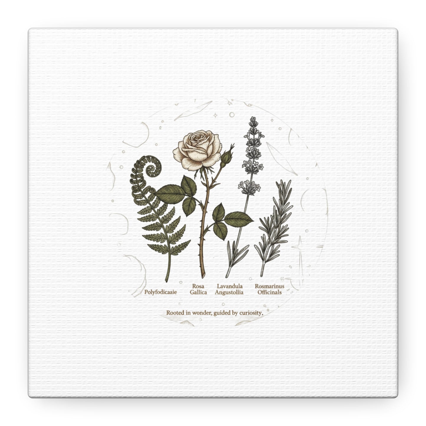 Matte Canvas, Stretched, 1.25"